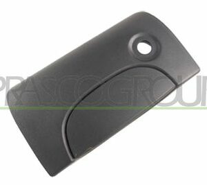 Poignet Malle Arrière Renault Kangoo (1997->2002)