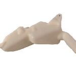 Réservoir D'eau De Lavage Essuie Glace Opel Astra G