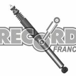 Amortisseur Arrière Renault 19 (RECORD) 103929