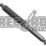 Amortisseur Arrière Renault Clio III / Modus (RECORD) 104564